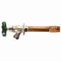 Arrowhead Brass 455-06LF 6 in. Hydrant Faucet AR577045